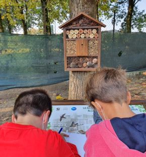 WWF Italia e Fondazione Roma unite per la realizzazione di 50 nuove Aule Natura nel Lazio WWF Italia e Fondazione Roma unite per la realizzazione di 50 nuove Aule Natura nel Lazio