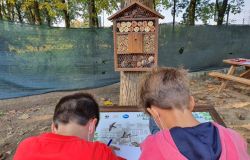 WWF Italia e Fondazione Roma unite per la realizzazione di 50 nuove Aule Natura nel Lazio