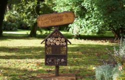 Aula Natura ph credit WWF