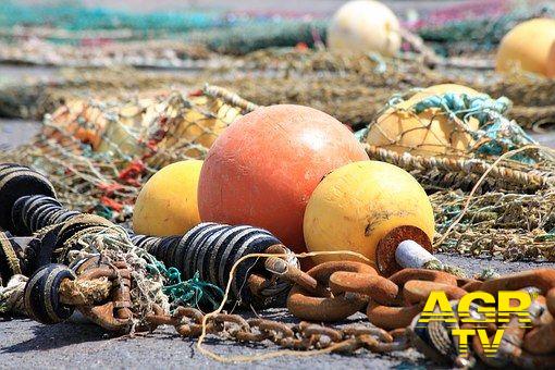 Fiumicino, le reti da pesca in un deposito Fiumicino, le reti da pesca in un deposito
