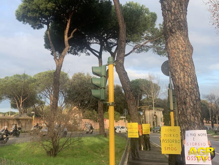 Marcia_per_gli_Alberi foto da comunicato stampa Sabrina Consolini Marcia_per_gli_Alberi foto da comunicato stampa Sabrina Consolini