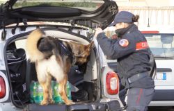 Carabinieri Ostia nel corso dell'operazione