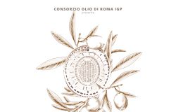 Grafica FESTIVAL DELL'OLIO DI ROMA bianca locandina da comunicato stampa
