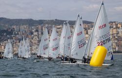 Vela, regata regionale ILCA, doppietta del Club Nautico nella classe olimpica