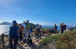 Passeggiate Poetiche a Ponza, IV edizione dal 10 al 12 aprile