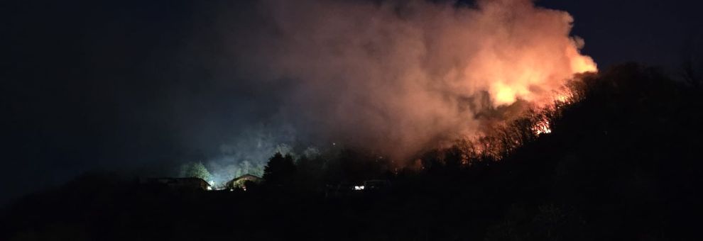 Incendio boschivo a Laveno Mombello, Canadair in azione: fiamme sotto controllo Incendio boschivo a Laveno Mombello, Canadair in azione: fiamme sotto controllo