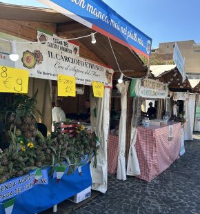 Ladispoli, grande successo per il secondo giorno della Sagra del Carciofo Ladispoli, grande successo per il secondo giorno della Sagra del Carciofo