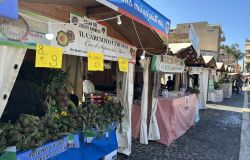 Ladispoli, grande successo per il secondo giorno della Sagra del Carciofo