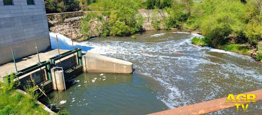 Sciuma nel Fiume Sacco - Foto da Comunicato Stampa
