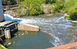 Sciuma nel Fiume Sacco - Foto da Comunicato Stampa