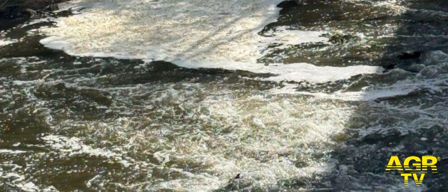 Ceccano, Sciuma nel Fiume Sacco - Foto da Comunicato Stampa