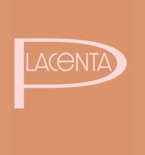 Placenta”, ovvero l’arte di custodirsi, il poetico libro di Anna Giuffrida