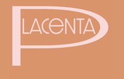 Placenta”, ovvero l’arte di custodirsi, il poetico libro di Anna Giuffrida