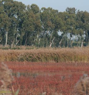 Dal 25 aprile al 2 giugno: La Primavera delle Oasi WWF