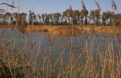 Vasche Maccarese ph ©_B.mariotti