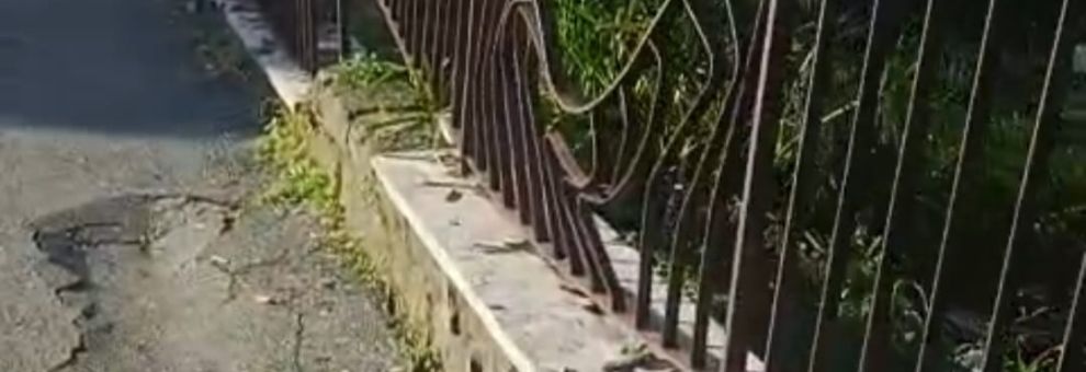 Casalbernocchi, esposto-denuncia del X Municipio nei confronti della ditta che ha eseguito la manutenzione delle alberature