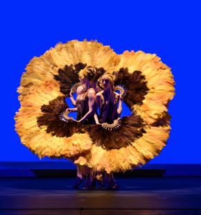 Botanica Season 2 il nuovo spettacolo di Momix dal 28 aprile al 10 maggio al teatro Olimpico
