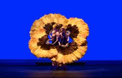 Botanica Season 2 il nuovo spettacolo di Momix dal 28 aprile al 10 maggio al teatro Olimpico