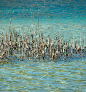 Osservatorio ANBI, la situazione delle risorse idriche in Italia