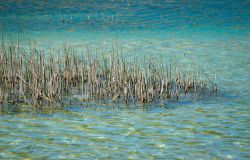 Osservatorio ANBI, la situazione delle risorse idriche in Italia