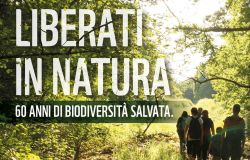 Cento aree protette da visitare...al via la Primavera delle Oasi WWF