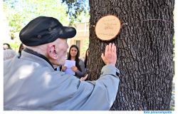 Sami Modiano appone la targa sulla quercia  ph credit Pino Rampolla