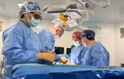 San Camillo, maratona trapianti: tre interventi rene-pancreas in cinque giorni