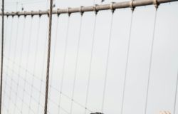 Diritti_Umani_e_Libertà_di_Stampa_foto da comunicato stampa