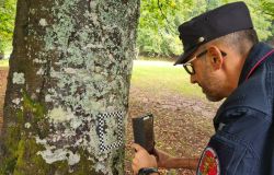Monitoraggio_Carabinieri_forestali_conecofor