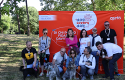 Dog_Lovers_Day_foto da comunicato stampa
