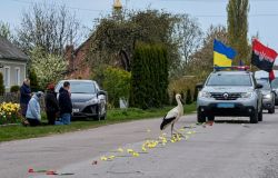 Cicogna, ultimo saluto agli eroi (foto di H.L.)