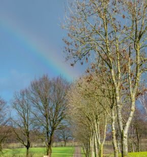 Podcast e cammini, ecco la voce che orienta il viaggio sulla via Francigena