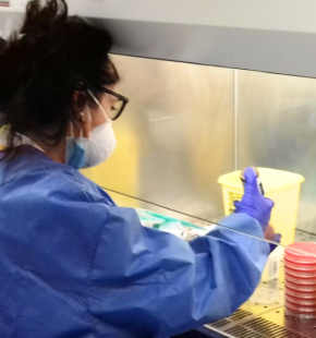 Tecnici di laboratorio, chiesta nel CCNL la valorizzazione del ruolo, della professionalità ed il riconoscimento di un'indennità