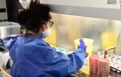 Tecnici di laboratorio, chiesta nel CCNL la valorizzazione del ruolo, della professionalità ed il riconoscimento di un'indennità