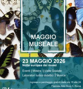 Sapienza Cultura presenta il Maggio Museale nell'ambito della Notte Europea dei Musei 2026