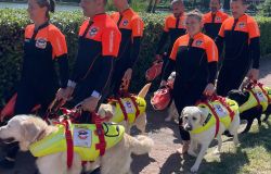 CANI_SALVATAGGIO_sport in famiglia