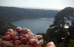93° edizione della Sagra delle Fragole,  Nemi 7 giugno, il programma dell'evento