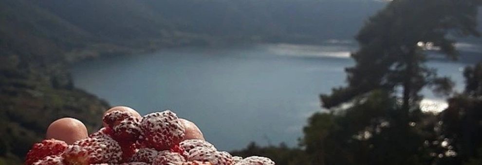 Nemi, tutto è pronto per la tradizionale Sagra delle fragole, l'edizione 2026 dedicata alla Cucina taliana