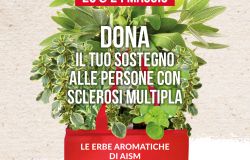 Roma, le Erbe Aromatiche di AISM il 23 e 24 maggio