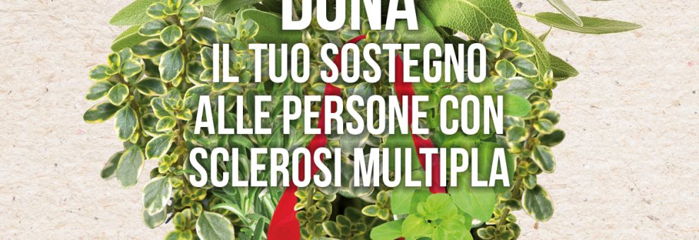 Roma, le Erbe Aromatiche di AISM il 23 e 24 maggio Roma, le Erbe Aromatiche di AISM il 23 e 24 maggio