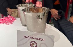 Rose Rosé   PH: Ufficio Stampa Gargiulo Mercatante
