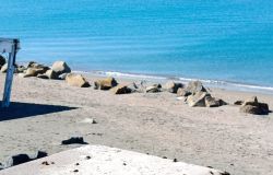Le Blatte sul marmo
