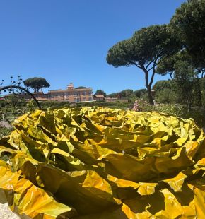 Roma, Roseto comunale, inaugurata l'opera di Francesca Leone: Quel che resta Roma, Roseto comunale, inaugurata l'opera di Francesca Leone: Quel che resta