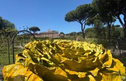 Roma, Roseto comunale, inaugurata l'opera di Francesca Leone: Quel che resta
