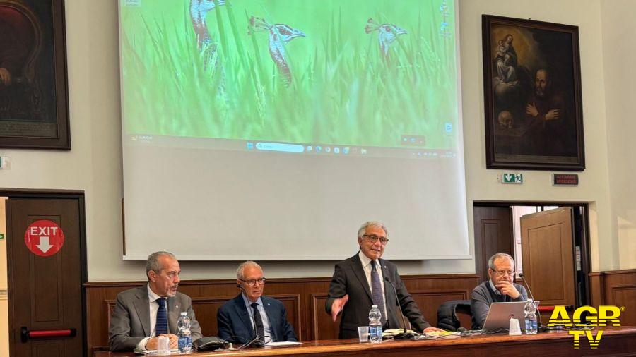 Nuovi Maestri del Lavoro 2026, incontro del Consolato Metropolitano di Roma - PH Credits ©Federazione Nazionale Maestri del Lavoro Nuovi Maestri del Lavoro 2026, incontro del Consolato Metropolitano di Roma - PH Credits ©Federazione Nazionale Maestri del Lavoro