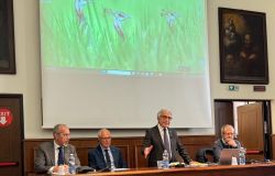 Maestri del Lavoro, il Consolato Metropolitano di Roma incontra i nuovi insigniti 2026: “Valori, esperienza e futuro dei giovani”