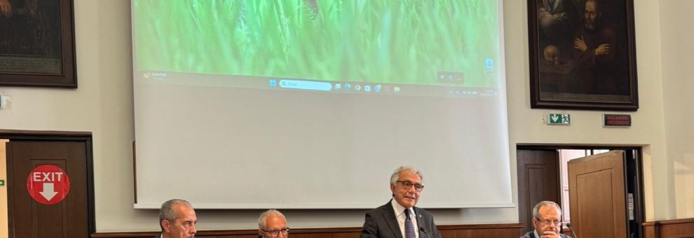 Maestri del Lavoro, il Consolato Metropolitano di Roma incontra i nuovi insigniti 2026: “Valori, esperienza e futuro dei giovani” Maestri del Lavoro, il Consolato Metropolitano di Roma incontra i nuovi insigniti 2026: “Valori, esperienza e futuro dei giovani”