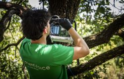 Roma, parco dell'Appia Antica, con Plantvoice, il monitoraggio scientifico del Bosco Sacro della Regina Viarum