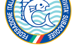 logo fipsas