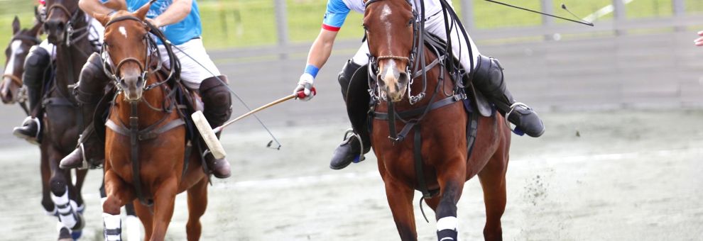 Roma, a piazza di Siena l'Europeo di Arena Polo, dal 28 maggio Villa Borghese si tinge d'azzurro Roma, a piazza di Siena l'Europeo di Arena Polo, dal 28 maggio Villa Borghese si tinge d'azzurro
